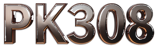 pk 308 logo